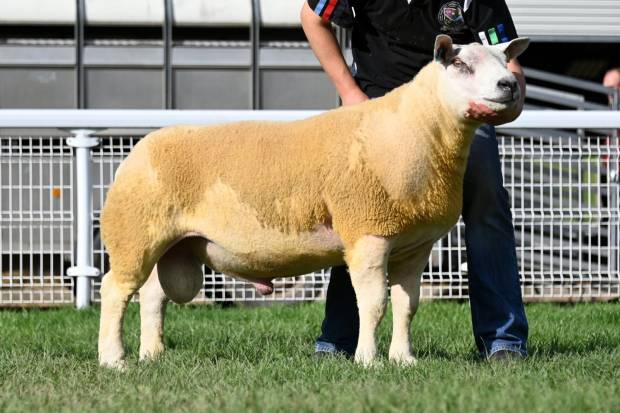 Lot 3203 from WO & PE Reed sold for 10,00gns