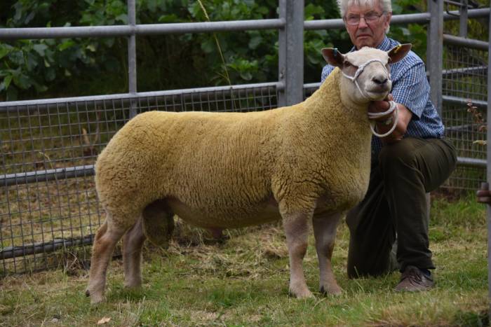 Lot 96 from Charles Marwood 1200gns