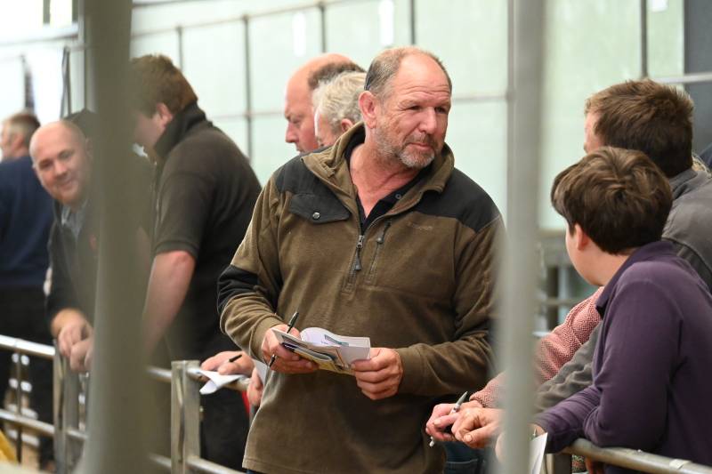 Pictures from the Hereford Sale